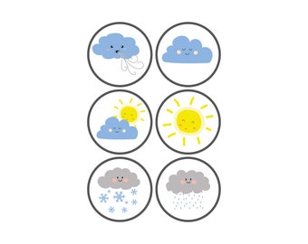 Weermagneetset, rond, visuele klimaatmagneten, geïllustreerd, duurzaam, handgemaakt, set van 6 magneten