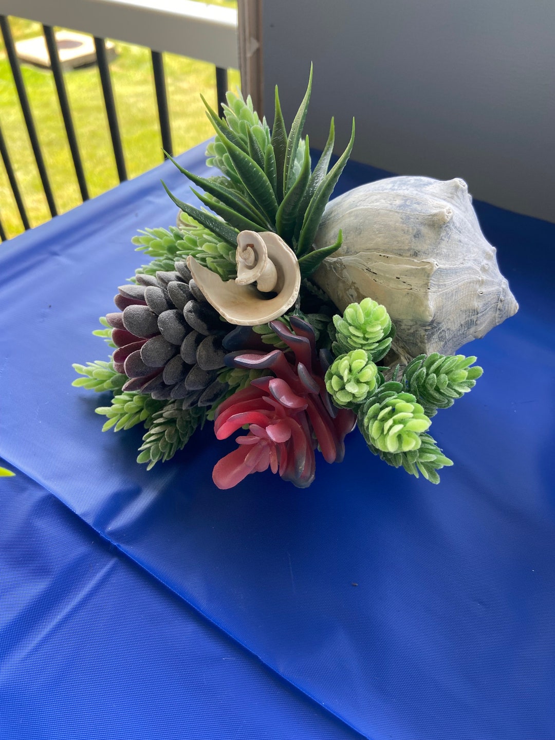 Air Plant Shell Art faux Plant Etsy