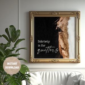 Sobriety Gift Wall Art Decor for Therapist Office Decor for Counselor Office Wall Art Recovery Gift for Horse Lover