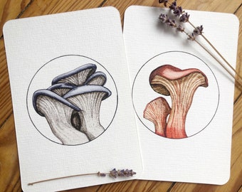 Set di due cartoline / Stampa artistica / Illustrazioni originali di funghi / Finferli rossi e funghi ostrica blu