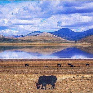 Tibet Landscape - A Set of Digital Photo Download - Printable Wall Art, Screen Background