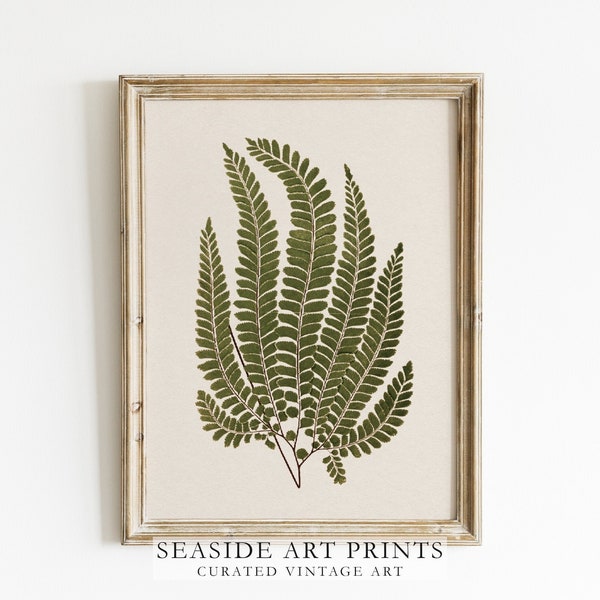 Antique pressed fern - Botanical art print, Vintage pressed fern leaf, Nature wall art, Neutral still life, Wall decor, DIGITAL DOWNLOAD