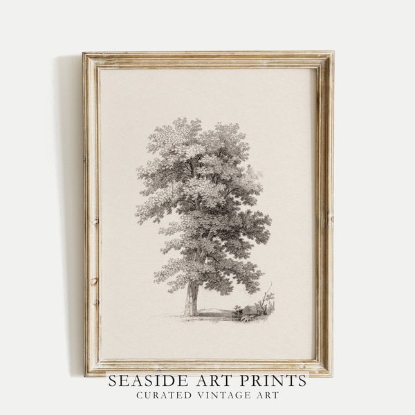 Vintage oak tree art print - Sketch botanical drawing, Neutral still life wall art, Moody woodland art, Muted wall decor, MAILED PRINT