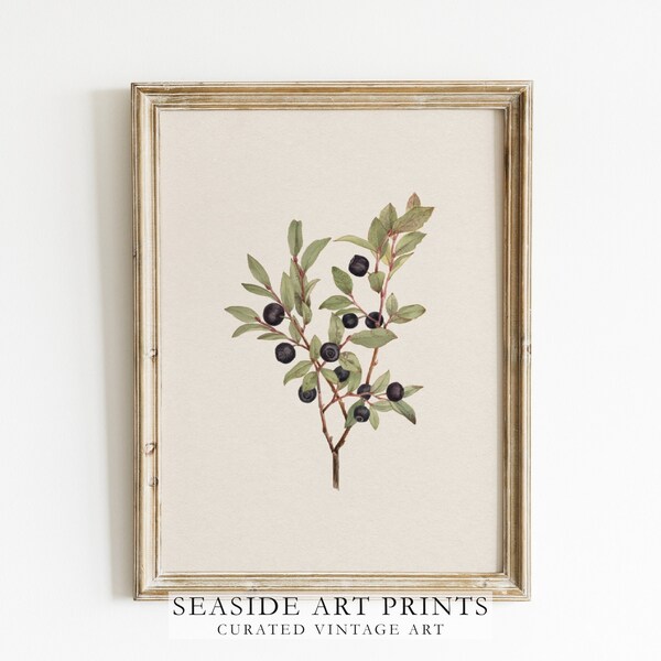 Neutral botanical art print - Vintage berry tree branch watercolor painting, Soft tones still life wall art, Muted wall decor, MAILED PRINT