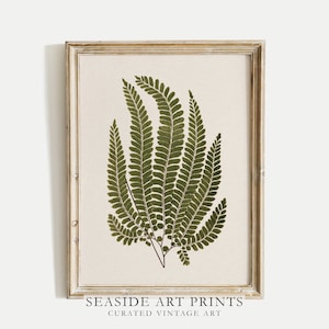 May include: A vintage botanical print of a fern in a light wood frame. The print features a detailed illustration of a green fern with delicate fronds. The frame has a distressed white finish and a simple design. The print is titled "SEASIDE ART PRINTS CURATED VINTAGE ART".