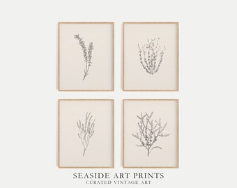 Antique botanical drawing art print - Set of 4, Rustic plant sketch, Neutral still life art, Moody art, Muted wall decor, MAILED PRINT