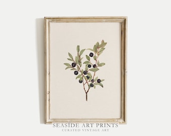 Watercolor botanical art print - Vintage berry tree branch painting, Neutral still life wall art, Muted wall decor, DIGITAL DOWNLOAD