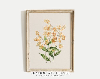 Antique botanical art print - Vintage flower painting, Neutral still life, Muted nature wall art, Rustic wall decor, DIGITAL DOWNLOAD