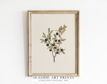 Neutral botanical art print - Vintage berry tree branch watercolor painting, Soft tones still life wall art, Muted wall decor, MAILED PRINT