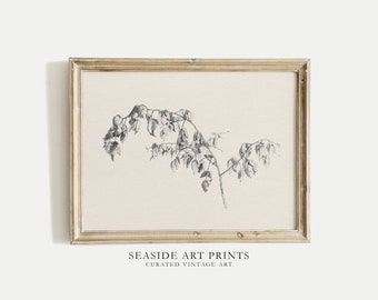 Neutral botanical sketch art print - Vintage tree branch drawing, Nature wall art, Neutral still life, Muted wall decor, DIGITAL DOWNLOAD
