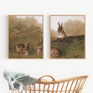 Op de afbeelding: Twee ingelijste prints van bruine konijnen in een bosrijke omgeving. De linker print toont twee konijnen in de struiken, terwijl de rechter print een enkel konijn toont dat op een boomstam zit.