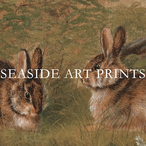 Op de afbeelding: Een schilderij van twee bruine konijnen in een grasveld. De konijnen kijken in verschillende richtingen. De tekst "SEASIDE ART PRINTS" is in het midden van de afbeelding gedrukt.