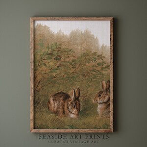 Op de afbeelding: Een vintage illustratie van twee bruine konijnen in een bosrijke omgeving. De konijnen zitten in hoog groen gras met een achtergrond van bomen en een wazige lucht.