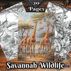 May include: A digital download coloring book featuring 20 pages of savannah wildlife illustrations. The cover shows a group of giraffes in a savanna landscape with trees and a blue sky. The text "20 Pages" and "Savannah Wildlife" are visible on the cover.