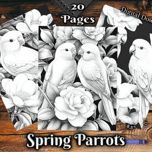 May include: A digital download of 20 coloring pages featuring black and white illustrations of parrots in a spring floral setting. The text "Spring Parrots" is at the bottom of the image.