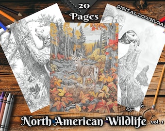 North American Wildlife Adult Coloring Pages | Nature Landscapes Grayscale Coloring Book | Digital Download Printable Animals PDF vol.1