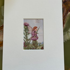 The Thistle Fairy - First Edition Vintage Original Print (circa 1925) with (Off-White) Art Mount 10x8 Inches