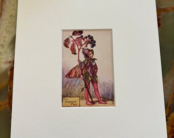 The Dogwood Fairy - First Edition Vintage Original Print (circa 1925) with (Off-White) Art Mount 10x8 Inches