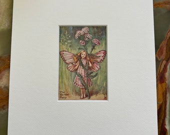 The Yarrow Fairy - First Edition Vintage Original Print (circa 1925) with (Off-White) Art Mount 10x8 Inches