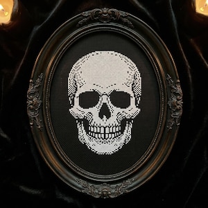 May include: A framed cross-stitch of a skull. The skull is white and the background is black. The frame is oval and dark brown with ornate detailing. The artwork is displayed against a black velvet backdrop.
