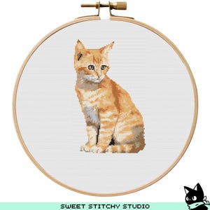 Orange Cat Cross Stitch Pattern | Hoop Embroidery | PDF | Instant Download | Commercial Use | Cross Stitch Chart