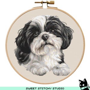 Op de afbeelding: Een zwart-witte Shih Tzu hond met een pluche vacht, die recht in de camera kijkt. De hond zit op een beige achtergrond.