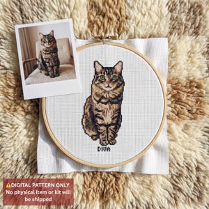 Op de afbeelding: Een kruissteekpatroon van een tabby kat met groene ogen, gepresenteerd in een houten borduurring. Een polaroidfoto van de kat staat naast de ring. De tekst "DIVA" staat onder de kat. De afbeelding staat op een getextureerd, neutraal getint oppervlak.