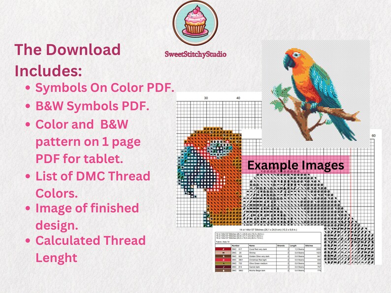 May include: A digital cross-stitch pattern with a colorful parrot illustration. The image includes a list of what the download includes, such as symbols on color PDF, B&W symbols PDF, and a list of DMC thread colors. The text "Example Images" is also visible.