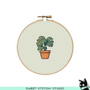 Patrón de punto de cruz de una linda planta Monstera / Bordado a bastidor / PDF / Descarga instantánea / Uso comercial / Gráfico de punto de cruz