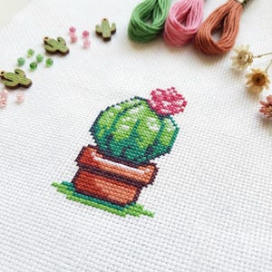 Lindo patrón de punto de cruz de cactus pequeño / Bordado en bastidor / PDF / Descarga instantánea / Uso comercial / Gráfico de punto de cruz