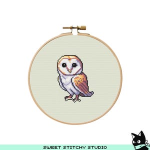 Cute Barn Owl Cross Stitch Pattern | Hoop Embroidery | PDF | Instant Download | Commercial Use | Cross Stitch Chart