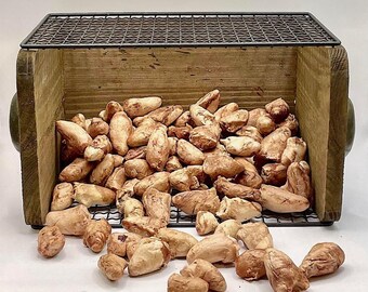 Raw Vibes Freeze Dried Chicken Hearts All Natural Cat and Dog Treats