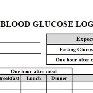 Blood Glucose Log - Basic - Etsy