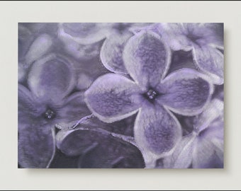 Cards/ Postcards / Botanical cards / Photoart cards / Lilacs /flower cards /Art postcards / Greeting cards /Postcard set / Five floral cards