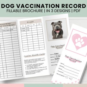 Puede incluir: Un folleto de registro de vacunación para perros imprimible con un diseño de corazón rosa con una huella de pata. El folleto incluye secciones para registrar el peso, la desparasitación, otros tratamientos y el historial de vacunación. También incluye una guía de salud canina con recomendaciones de vacunación.