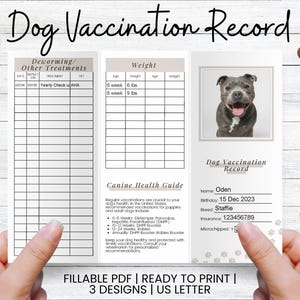 Hondenvaccinatierecord, huisdiervaccinatietracker, logboek puppyvaccinatie, record puppyschoten, afdrukbare pdf direct downloaden