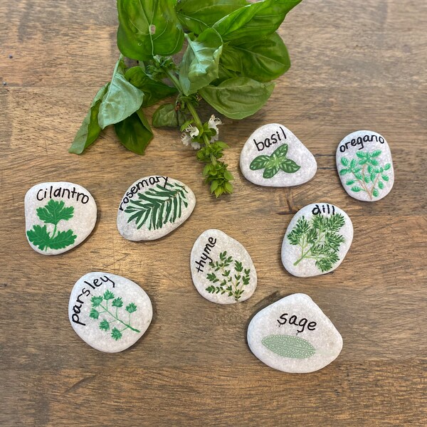 Painted Rocks Basil Hand Painted Rocks - Etsy