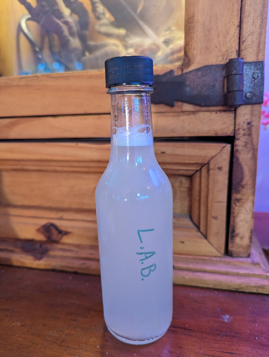 LAB, Lactic Acid Bacteria, KNF 200ml Etsy