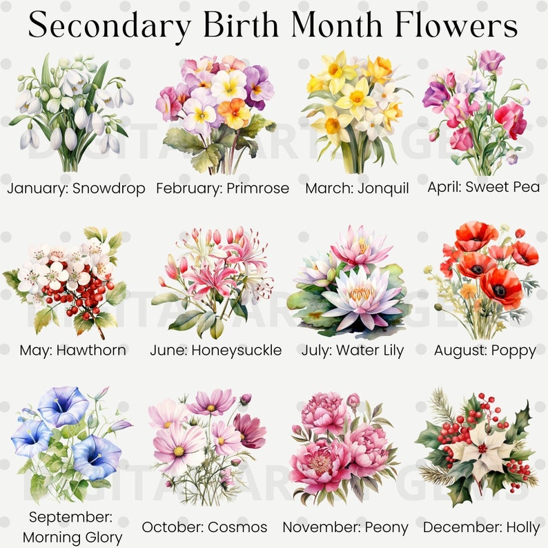 24 Watercolor Birth Month Flower Clipart Birth Month Floral Etsy Canada