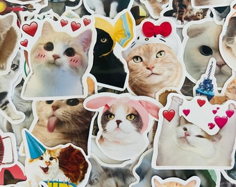 Cat Stickers, Fun Cat Stickers, Kitten Stickers, Random Sticker Packs 10/20/50 Pieces, NO REPEATS, Waterproof, Fade Resistant, Free Shipping