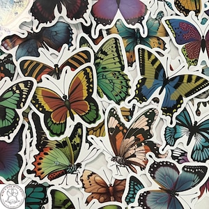 Butterfly Stickers, Moth Stickers, Random Sticker Packs 10/20/50 Pieces, NO REPEATS, Waterproof, Fade Resistant, Free Shipping