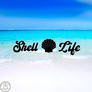 Shell Life Decal, Beach Decal, Shell Collector, Car Decal, Wall Decal, Indoor/Outdoor, Waterproof, Vinyl, Many Colors & Sizes, FREE SHIPPING