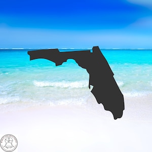Florida Decal, Sunshine State Decal - Car Decal, Wall Decal, Indoor/Outdoor, Waterproof, Vinyl, Many Colors & Sizes, FREE SHIPPING