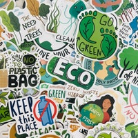 Build a Food Web - Jungle Ecology Study - Homeschooling Biology ...