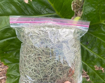 Organic Spanish Moss LIVE Air Plant Overstuffed 1 Gallon Bag Craft Decor