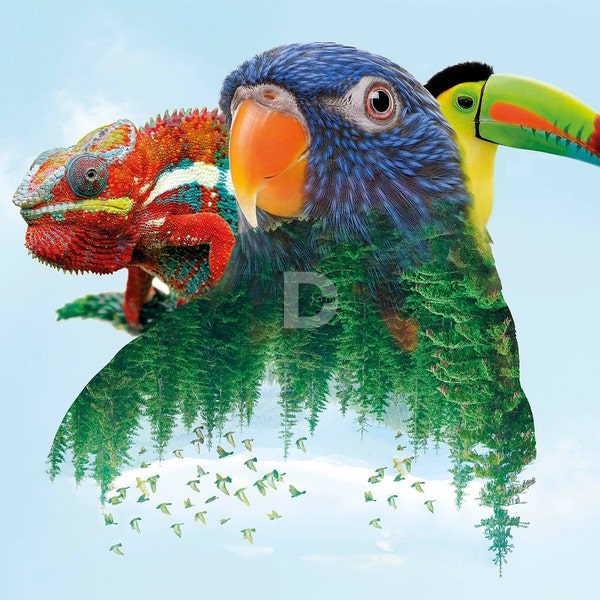Animal Zoo / Bird Parrot/ Digital art print / Wall art / chameleon / Digital download / Home decor / Printable art / Photography