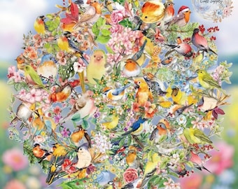 50 pcs - Birds Parrots Hummingbirds Watercolor transparent Stickers