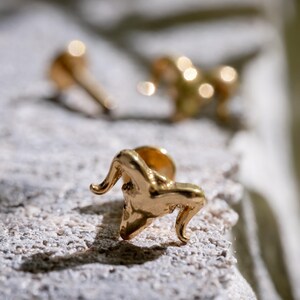 Goat Head Stud, Flat Back Earrings, Titanium Screw Back Studs, Cartilage Jewelry, Helix Tragus Studs, Minimalist Ear Accessories 3102