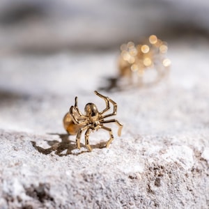 May include: A gold-colored spider-shaped earring rests on a textured, light-colored surface. The spider has eight legs and a rounded body. Another earring, out of focus, is visible in the background.