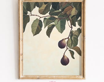 May include: A framed botanical print featuring a fig tree branch with green leaves and two ripe figs. The artwork has a vintage aesthetic with a soft, off-white background and a gold-colored frame.